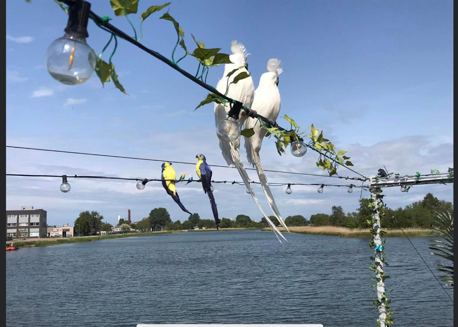 Houseboat On The Water Hotel Liepaja Bagian luar foto
